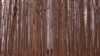 16x9 Image