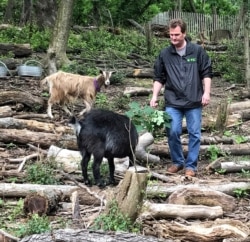 Christian Zimmerman, Wakil Presiden Manajemen Modal dan Lansekap Prospect Park Alliance, berfoto dengan kambing yang digunakan untuk menghilangkan semak invasif di wilayah Brooklyn di New York City, AS. (Foto: dok).