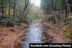 A heavy rainstorm resulted in a swollen creek on the way to the popular Dingmans Falls at Delaware Water Gap National Recreation Area in Pennsylvania.