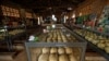 Rwanda Genocide Suspect in France Denies Allegations, Lawyer Says