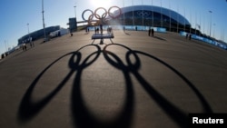 Cincin-cincin Olimpiade di Istana Es Bolshoy, di Sochi, Rusia (3/2). (Reuters/Jim Young)
