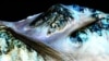 NASA: Ada Bukti Kuat Mars Punya Air