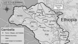 ካብ ክልል ጋምቤላ ተጨውዮም ኣብ ደቡብ ሱዳን ዝጸንሑ ህጻናት ምስ ስድርኦም ምርኻቦም ተገሊጹ