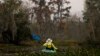 To save a dying swamp, Louisiana aims to restore the Mississippi River's natural flow