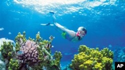 Great Barrier Reef terbentang lebih dari 2.000 kilometer di sepanjang pantai timur laut negara itu dan merupakan tempat bagi berbagai jenis terumbu karang yang menakjubkan serta flora dan fauna laut lainnya yang spektakuler (foto: Dok). 