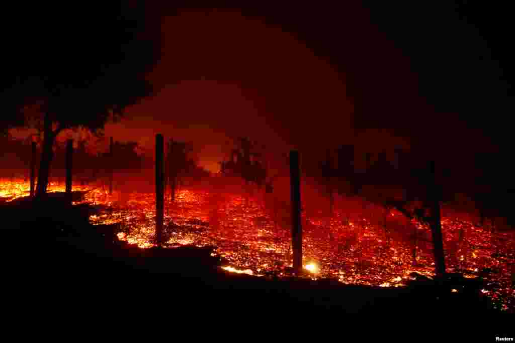 A vineyard burns overnight during a wildfire that destroyed dozens of homes in Thousand Oaks, Calif., Nov. 9, 2018.