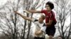 Colin Mahoney of the Brown University scores a point as he leaps over Dartmouth's Andrew Hoffman at the New England Regional Ultimate Frisbee Tournament in Portsmouth, RI, May 1, 2005. 