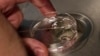 Scientists Take Step Toward Creating Artificial Embryos