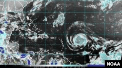 Image satellite de l'ouragan Irma, le 4 septembre 2017. (NOAA)