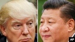 ARSIP – Kombinasi foto-foto arsip ini menunjukkan Presiden AS, Donald Trump tanggal 28 Maret 2017 di Washington, kiri, dan Presiden China, Xi Jinping, tanggal 22 Februari 2017 di Beijing (foto: AP Photo/Arsip)