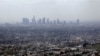 Measuring the Effects of Climate Change Policies