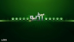 معروف مزاح نگار، ڈاکٹر یونس بٹ سے بات چیت