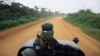 Toute la journée, des affrontements ont eu lieu à une vingtaine de kilomètres de Goma, ville au cœur des violences qui secouent l'est de la RDC depuis 30 ans.