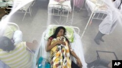 FILE - A patient, enclosed in a mosquito net, recovers from a bout of dengue fever at a hospital in Luque, Paraguay, Feb. 5, 2016.