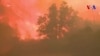 Deux ministres en visite sur le site d'un incendie en Californie