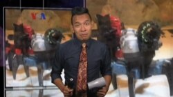 Pemanfaatan Google Glass untuk Menata Rambut