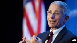 Dr. Anthony Fauci, direktur Institut Nasional bidang Alergi dan dan Penyakit Menular, berbicara dalam sebuah acara di Washington pada 29 Januari 2016. (Foto: AP/Alex Brandon)