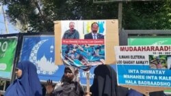 Loltoonni Somaaliaa Leenjiif Ertiraa Deeman Waraansa Tigiraay Keessaatti Hirmaatan Jedhamuun Prezidaantii Somaaliyaarratti Dhiibbaa Cimse