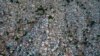 Foto yang diambil pada 28 September 2021. menunjukkan area Jalousie yang padat penduduk di Port-au-Prince, Haiti. Sekelompok geng kriminal di Haiti diduga telah melakukan penculikan terhadap kelompok misionaris asal AS pada 16 Oktober 2021. (Foto: AP/Rodrigo Abd)