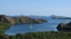 Proyek Taman Komodo Jalan Terus, Meski Ada Peringatan UNESCO 