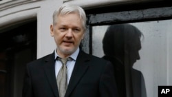 Pendiri situs Wikileaks Julian Assange (Foto: dok).