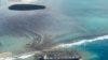 Japanese Ship Operator Apologizes for Oil Spill off Mauritius
