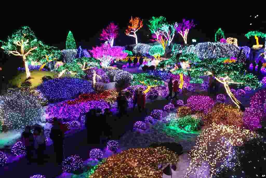 Dekorasi pohon-pohon dengan cahaya warna-warni untuk merayakan Natal di taman kota Gapyeong, Korea Selatan. 