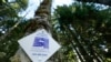 Microsoft, Disney Among Companies Calculating Carbon Footprints 