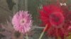 16x9 Image