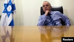 Minister Yuval Steinitz is seen in a January 2, 2013, file photo.