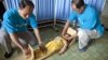 Humanitarian Groups Say Sanctions Impede Aid to North Koreans