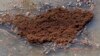 FILE - Fire ants are shown clinging together in the floodwaters of Vicksburg, Miss., March 13, 2018. Australian officials are examining the potential impact of invasive fire ants, which were first found Brisbane, Australia, in 2001.