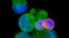 16x9 Image