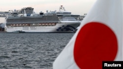 Un menu spécial était prévu à bord du Diamond Princess pour le dîner, avec en entrée des avocats "façon Cupidon" ou des "crevettes de la Saint-Valentin à la japonaise".