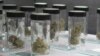 Native American Tribes Eye Lucrative Marijuana Market 