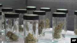 FILE - Vials filled with samples of marijuana are lined up March 24, 2017, at the Blum medical marijuana dispensary, in Reno, Nev. 