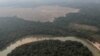 Indigenous Leaders Push New Target to Protect Amazon from Deforestation