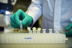 FILE - An employee of German biopharmaceutical company CureVac demonstrates research workflow on a vaccine for the coronavirus (COVID-19) disease at a laboratory in Tuebingen, Germany, March 12, 2020.