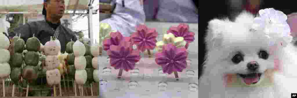In this combination of photos showing cherry blossom themed treats and trinkets in Tokyo, Beijing, and Seoul, from left to right: Rice dumplings, including one in pink, are sold at a park in Tokyo, March 31, 2017, cherry flower-shaped popsicles are sold at the Yuyuantan Cherry Blossom festival in Beijing, March 25, 2017; a dog wears a cherry blossom-shaped pin in Seoul, April 9, 2017. 
