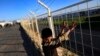 UN Presses Turkey to OK Independent Probe of Alleged Rights Abuses 