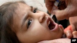 لاہور پاکستان میں ایک بچی کو پولیو ویکسین دی جارہی ہے ، فوٹو اے پی 16 جنوری 2023