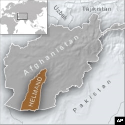 Forces in Afghanistan Kill 2 Senior Taliban