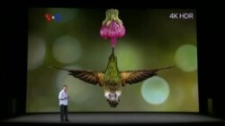 Analis: iPhone X Bukan untuk Semua Orang