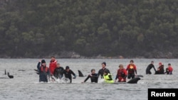 Rescue efforts to save whales stranded on a sandbar take place at Macquarie Harbour, near Strahan, Tasmania, Australia, Sept. 22, 2020. (AAP Image/The Advocate Pool, Brodie Weeding)