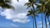 Global Shutdown Becomes Environmental Experiment