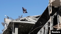 Bendera ISIS berkibar di sebuah rumah yang hancur di Raqqa, Suriah, 18 Oktober 2017. 