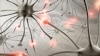 Epilepsy Burdens Developing Countries 