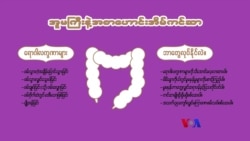 အူမကြီးနဲ့ အစာဟောင်းအိမ်ကင်ဆာ ကာကွယ်နိုင်ဖို့ “လူထုနဲ့ ကျန်းမာရေး”