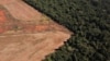 Foto udara menunjukkan kawasan hutan Amazon terus mengalami ancaman penebangan hutan (deforestasi), di Nova Xavantina, provinsi Mato Grosso, Brazil (foto: dok). 