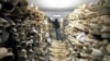 Uganda Seizes Ivory Smuggled in Timbers 